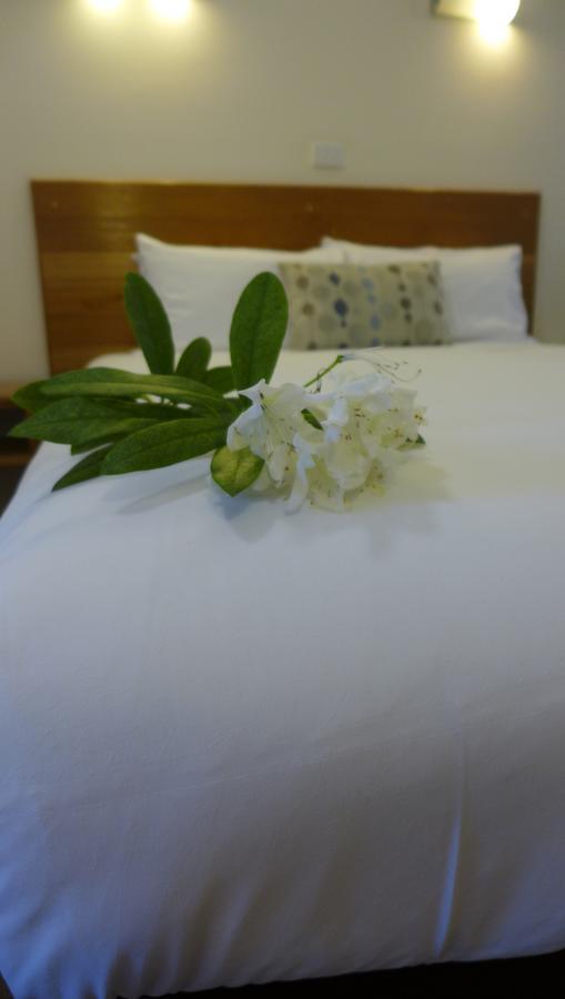 Bright Avenue Motor Inn Экстерьер фото